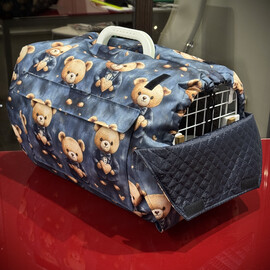 Кликните для увеличения изображения